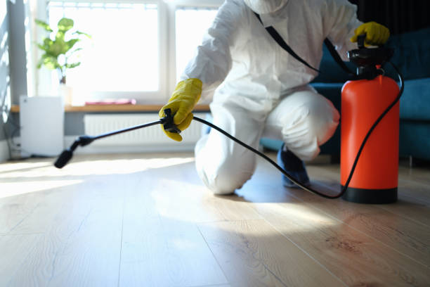 Reliable Biohazard Cleanup contractor in Pottsville, AR by Trauma Clean Pros
